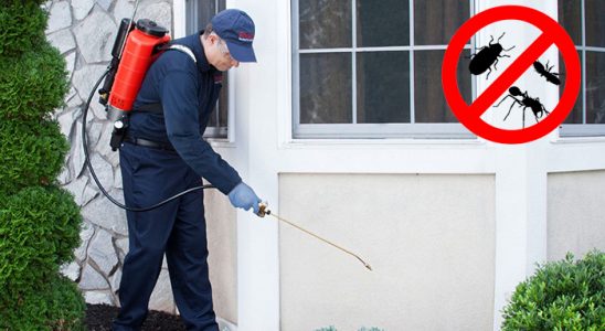 Çobanlar Bit İlaçlama böcek ilaçlama ve haşere kontrolü — ilaclama-tr.com